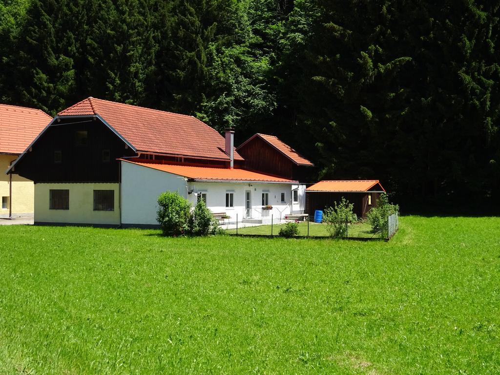 Haus Im Gruenen - Gmundennaehe Pinsdorf Экстерьер фото